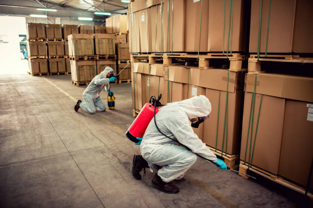 Professional Pest Control in Logan, NM