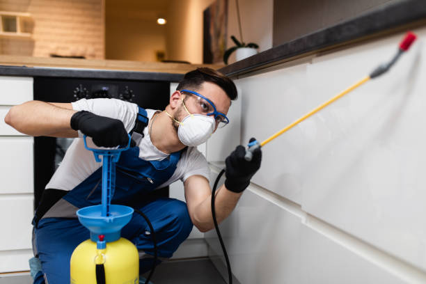 Best Local Pest Control Services  in Logan, NM