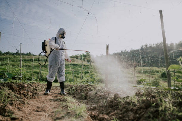 Best Pest Control for Homes  in Logan, NM