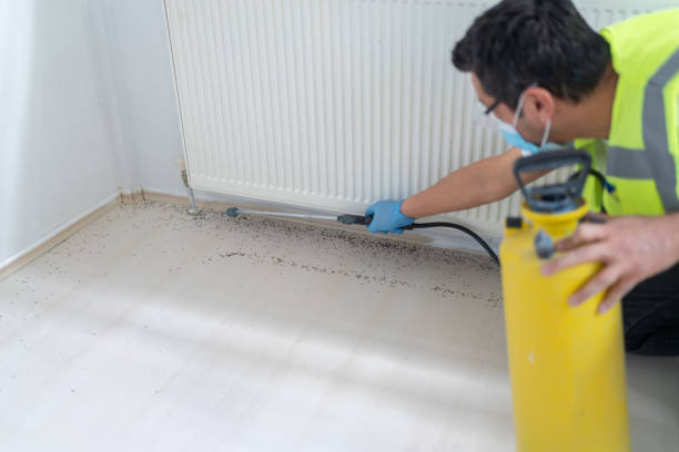 Best Best Pest Control Companies  in Logan, NM